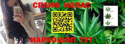 ALPHA PVP Кандалакша