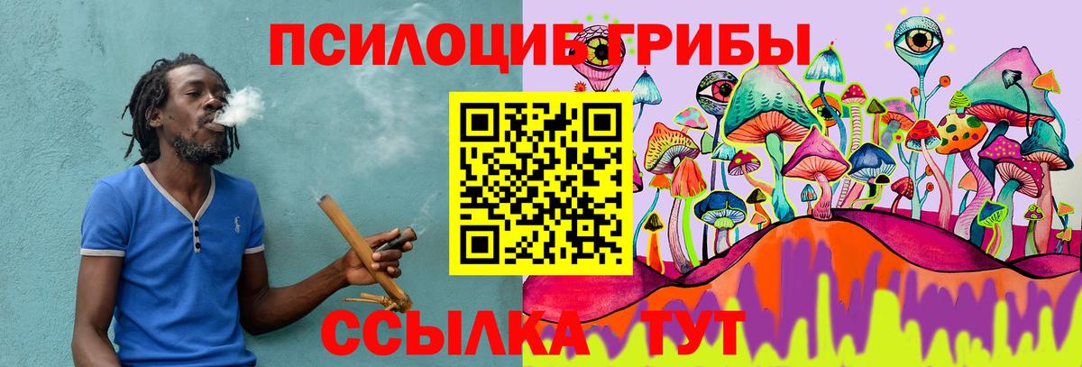 Псилоцибиновые грибы мицелий Курчатов